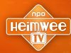 Heimwee TVDe eerste de beste: Europe in Domino 88 - voorbeschouwing