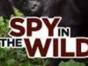 Spy In The Wild gemist