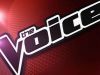 The Voice of HollandAflevering 6