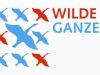 Wilde GanzenVakschool in Mozambique