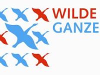 Wilde Ganzen - Dansschool Zuid-Afrika